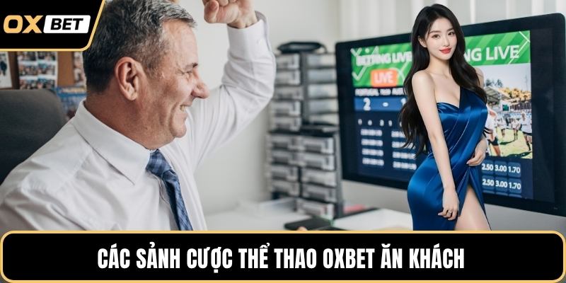 Các sảnh cược thể thao OXBET ăn khách