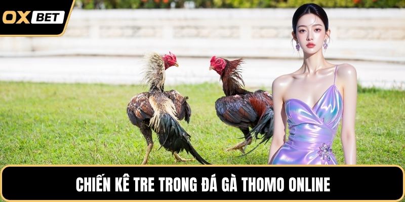 Chiến kê tre trong đá gà Thomo online