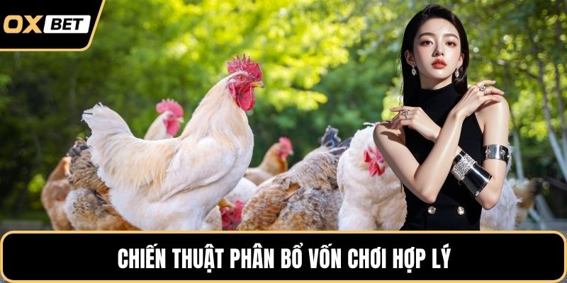 Chiến thuật phân bổ vốn chơi hợp lý