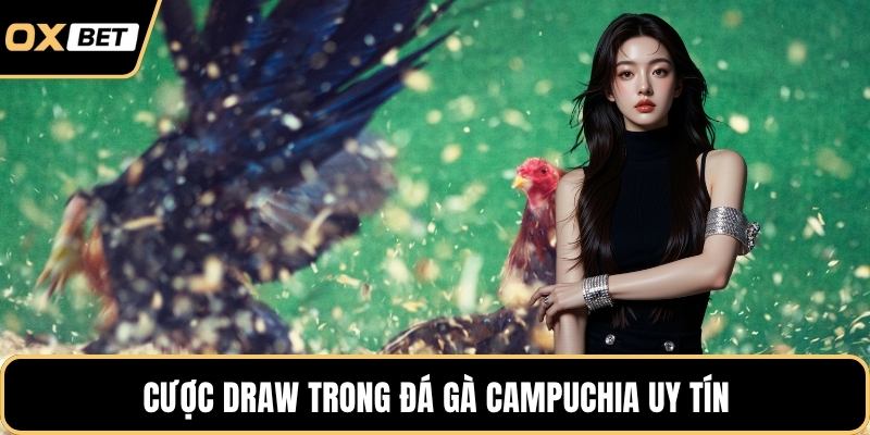 Cược Draw trong đá gà Campuchia uy tín