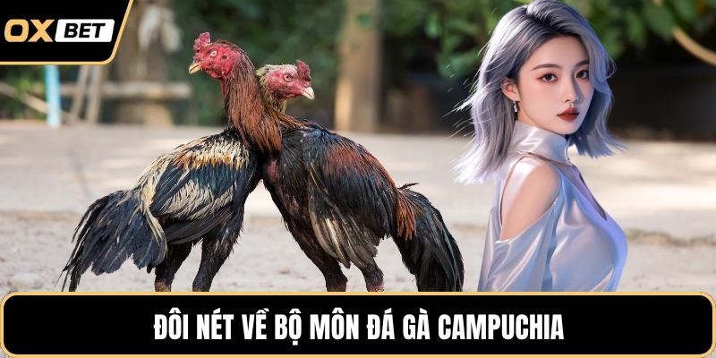 Đôi nét về bộ môn đá gà Campuchia