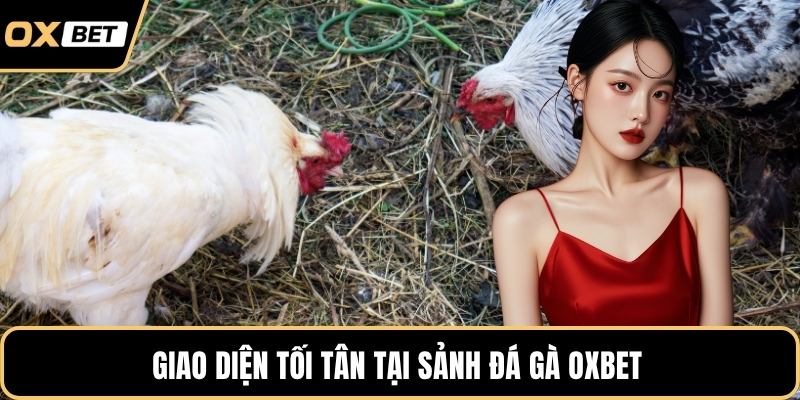 Giao diện tối tân tại sảnh đá gà OXBET 
