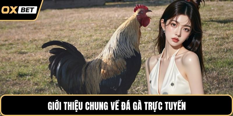 Giới thiệu chung về đá gà trực tuyến