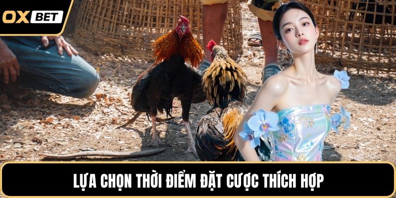 Lựa chọn thời điểm đặt cược thích hợp