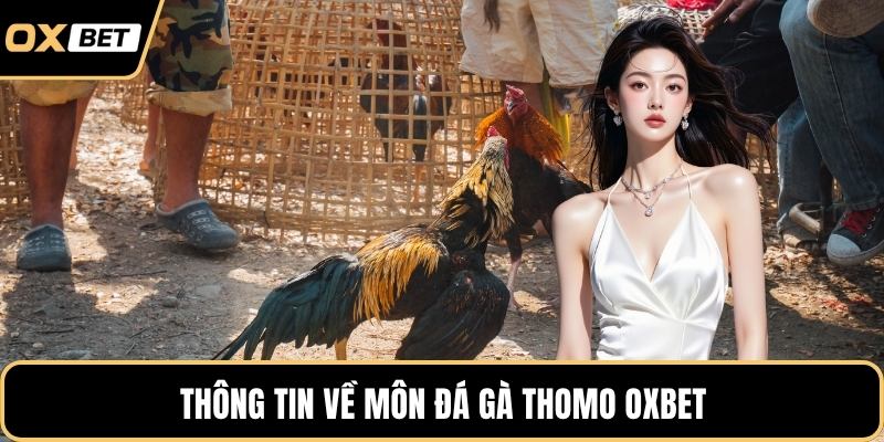 Thông tin về môn đá gà Thomo OXBET